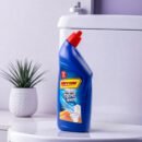 Riyon Toilet Cleaner